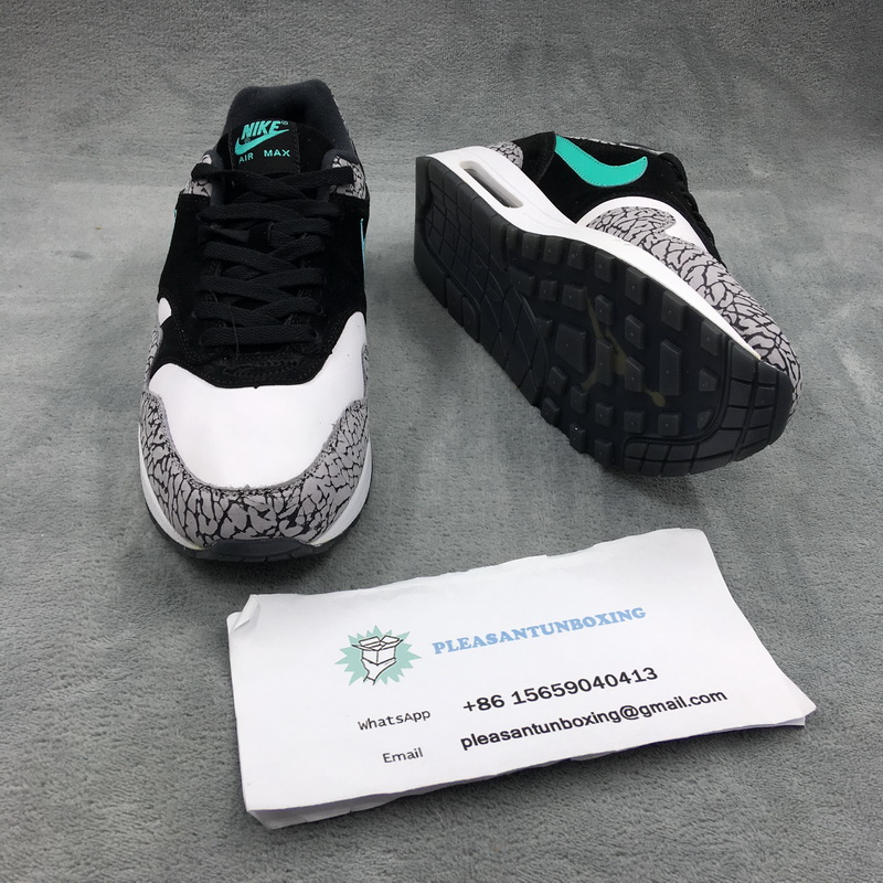 Authentic Air Jordan 3 x air max 1 “Atmos”